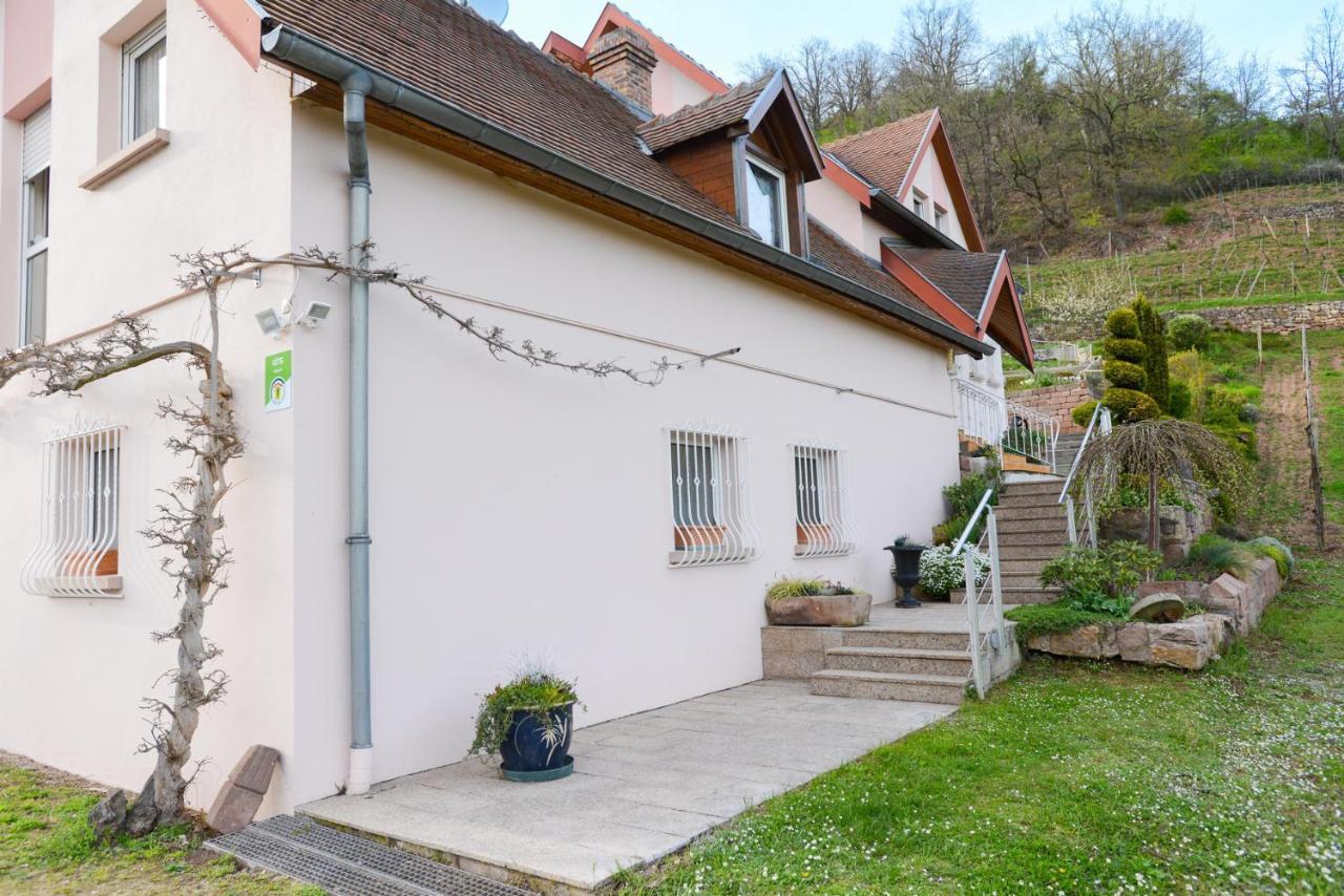 Les Glycines Du Sommerberg Niedermorschwihr Extérieur photo