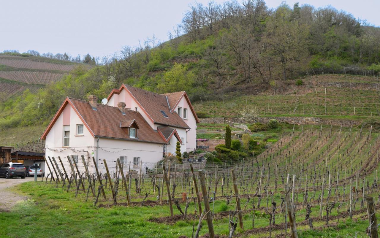 Les Glycines Du Sommerberg Niedermorschwihr Extérieur photo