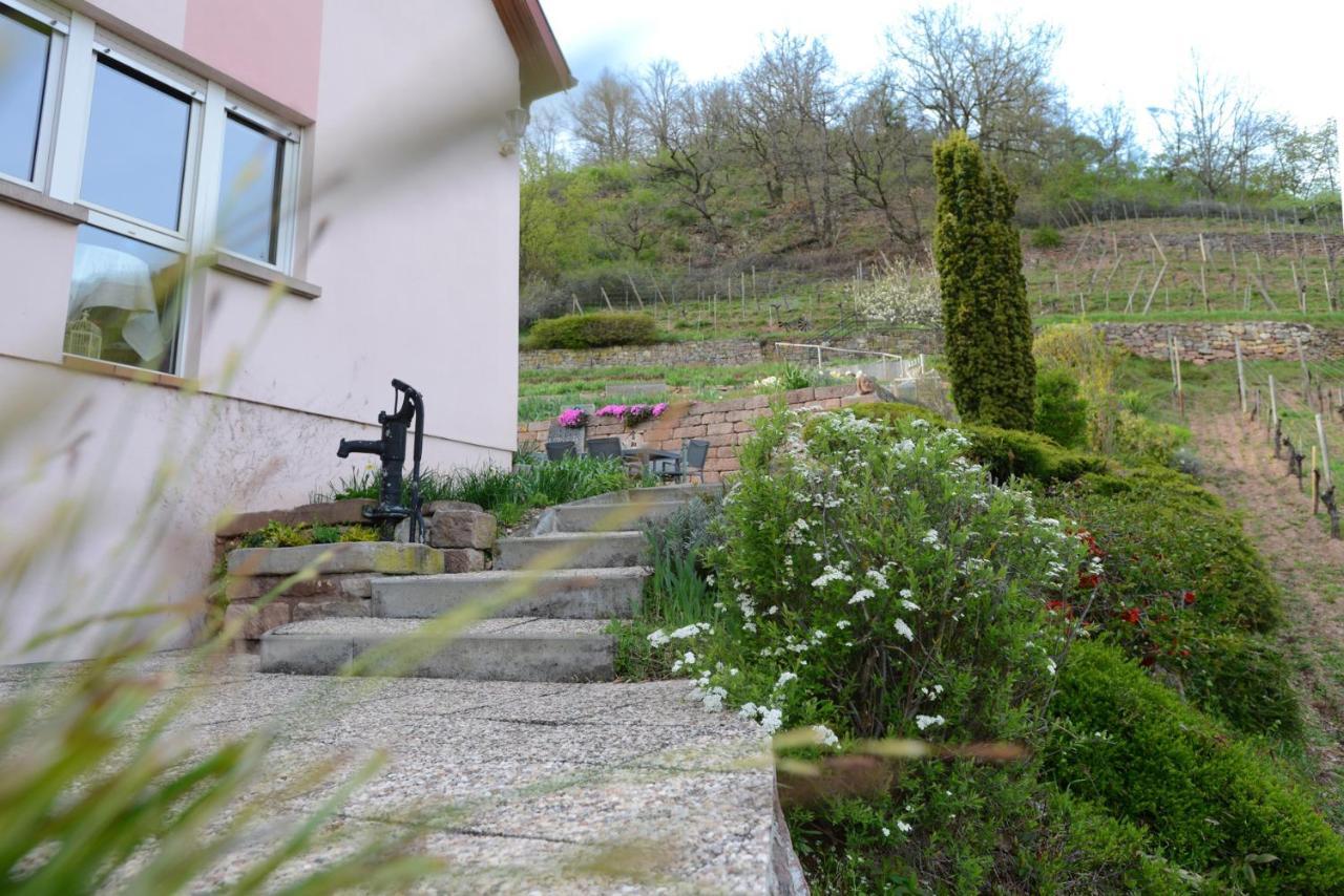 Les Glycines Du Sommerberg Niedermorschwihr Extérieur photo